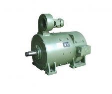 Motor điện ZZJ-800