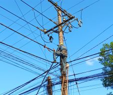 Điện lưới quốc gia