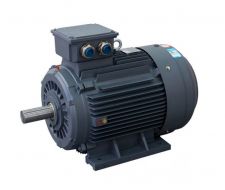 Motor điện 3 pha QM 75KW