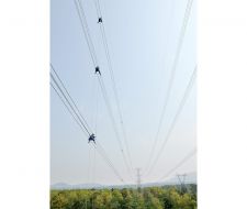 Điện lưới quốc gia