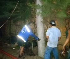 Trụ điện đường